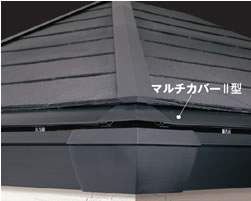 �}���`�J�o�[