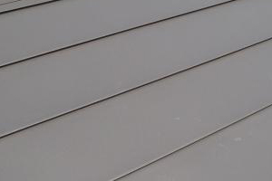 �X�e�����X����